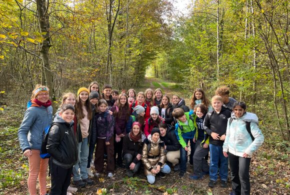 2D – Our morning in the wood