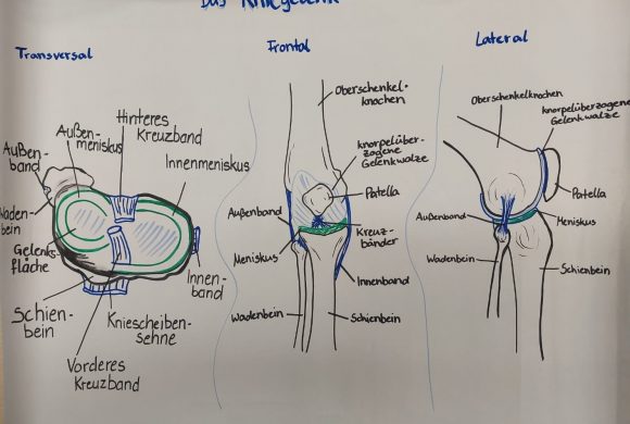 Endlich wieder Obertraun! Endlich wieder Obertraun!