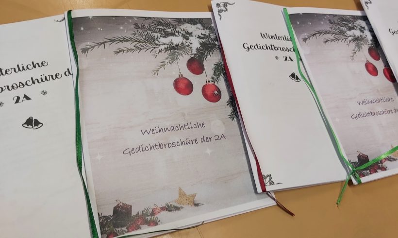 Vorfreude auf Weihnachten in der 2A