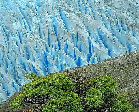 Chile zu Gast am Gymnasium!