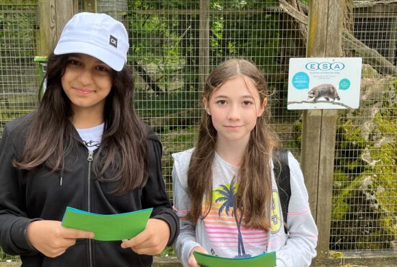 English project 2D: “At the zoo”