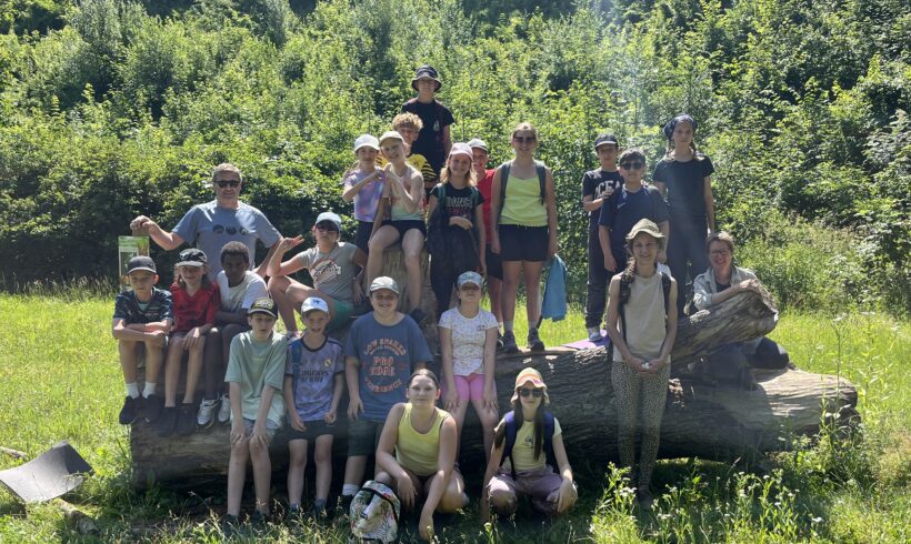 Ein Tag in der Natur – Die 1D-Klasse erkundet den Stadtwald Forstheide Ein Tag in der Natur – Die 1D-Klasse erkundet den Stadtwald Forstheide