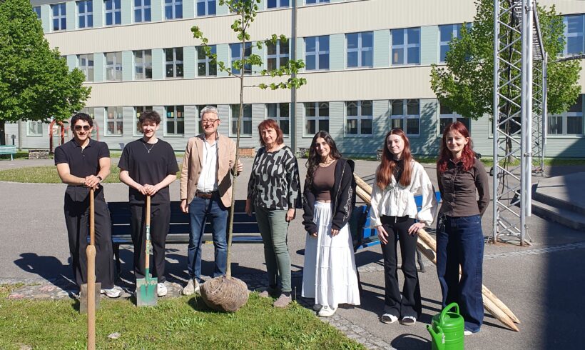 Wurzeln, die bleiben: Ein lebendiges Danke der 8. Klassen